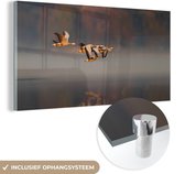 MuchoWow® Glasschilderij 80x40 cm - Schilderij acrylglas - Ganzen - Lucht - Water - Foto op glas - Schilderijen