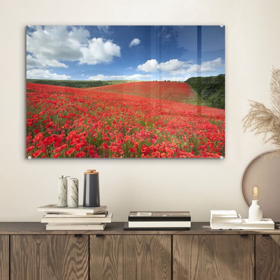 MuchoWow® Peinture sur verre 60x40 cm - Peinture sur verre acrylique - Coquelicots - Fleurs - Ciel - Photo sur verre - Peintures