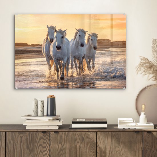 Peintures en plexiglas - Paarden - Water - Mer - France - 60x40 cm