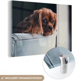 MuchoWow® Glasschilderij 120x80 cm - Schilderij acrylglas - Hond - Stoel - Kop - Foto op glas - Schilderijen