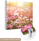 MuchoWow® Glasschilderij 50x50 cm - Schilderij acrylglas - Zonsondergang - Bloemen - Roze - Foto op glas - Schilderijen
