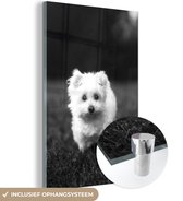 MuchoWow® Peinture sur verre 120x180 cm - Peinture sur verre acrylique - Chien maltais sur une pelouse - noir et blanc - Photo sur verre - Peintures