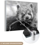 MuchoWow® Glasschilderij 160x120 cm - Schilderij acrylglas - Etende rode panda - zwart wit - Foto op glas - Schilderijen