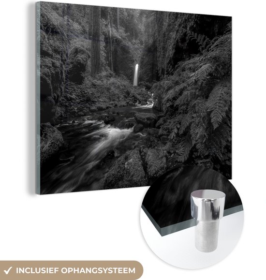 MuchoWow® Glasschilderij 80x60 cm - Schilderij acrylglas - Prachtig plaatje jungle - zwart wit - Foto op glas - Schilderijen