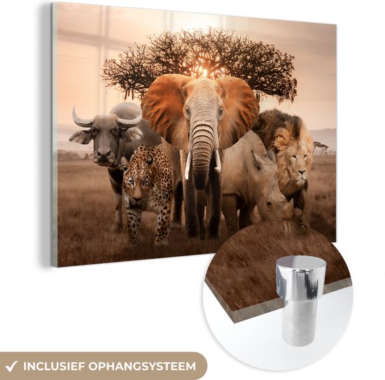 Peintures Plexiglas - Animaux - Éléphant - Lion - 180x120 cm - Peinture sur verre