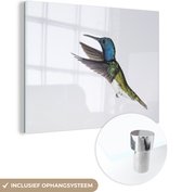 MuchoWow® Glasschilderij 160x120 cm - Schilderij acrylglas - Vogel - Kolibrie - Blauw - Groen - Foto op glas - Schilderijen