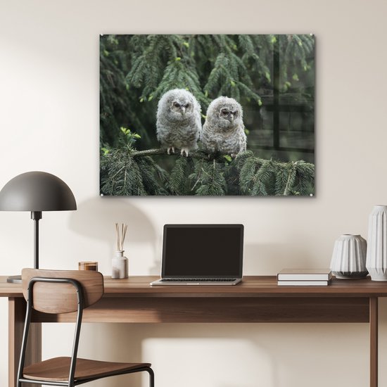 Deux poussins hiboux en Glas 90x60 cm - Tirage photo sur Glas (décoration murale en plexiglas)