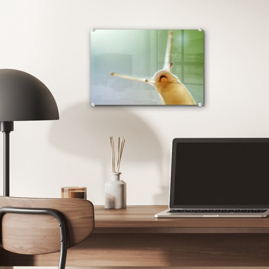 Peinture sur Verre - Escargot d'en bas - 30x20 cm - Peintures sur Verre Peintures - Photo sur Glas