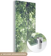 MuchoWow® Glasschilderij 20x40 cm - Schilderij acrylglas - Takken in het zonlicht - Foto op glas - Schilderijen
