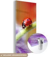 MuchoWow® Glasschilderij 80x160 cm - Schilderij acrylglas - Lieveheersbeestje op een paarse bloem - Foto op glas - Schilderijen