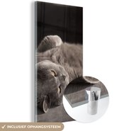 MuchoWow® Glasschilderij 20x40 cm - Schilderij acrylglas - Dier - Poes - Grijs - Foto op glas - Schilderijen