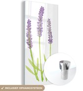 MuchoWow® Glasschilderij 20x40 cm - Schilderij acrylglas - Lavendel - Aquarel - Planten - Foto op glas - Schilderijen