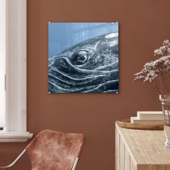 MuchoWow® Glasschilderij 50x50 cm - Schilderij acrylglas - Water - Dieren - Bultrug - Foto op glas - Schilderijen