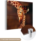 MuchoWow® Glasschilderij 50x50 cm - Schilderij acrylglas - Giraffe - Kalf - Portret - Foto op glas - Schilderijen