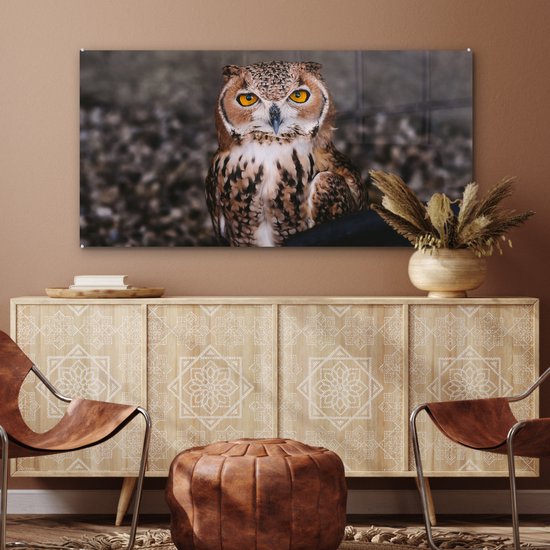 MuchoWow® Peinture sur verre - Chouette brune regardant directement dans l'appareil photo - 120x60 cm - Peintures sur verre acrylique - Photo sur Glas