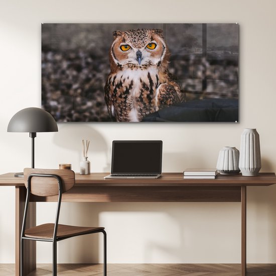MuchoWow® Peinture sur verre - Chouette brune regardant directement dans l'appareil photo - 120x60 cm - Peintures sur verre acrylique - Photo sur Glas
