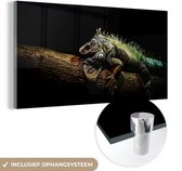 MuchoWow® Glasschilderij 160x80 cm - Schilderij acrylglas - Dier - Tak - Zwart - Foto op glas - Schilderijen