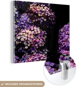 MuchoWow® Glasschilderij 90x90 cm - Schilderij acrylglas - Hortensia zwarte achtergrond - Foto op glas - Schilderijen