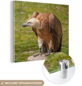MuchoWow® Glasschilderij - Vale gier op een boomstronk - 90x90 cm - Acrylglas Schilderijen - Foto op Glas