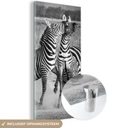 MuchoWow® Glasschilderij 60x120 cm - Schilderij acrylglas - Vechtende zebra's - Foto op glas - Schilderijen