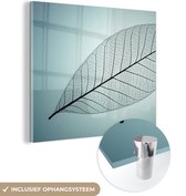 MuchoWow® Glasschilderij 50x50 cm - Schilderij acrylglas - Beeld van een bladskelet van botanisch blad op de achtergrond met de kleur cyaan - Foto op glas - Schilderijen