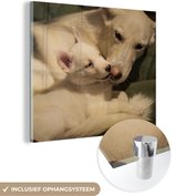 MuchoWow® Glasschilderij 20x20 cm - Schilderij acrylglas - Moeder met puppy - Foto op glas - Schilderijen