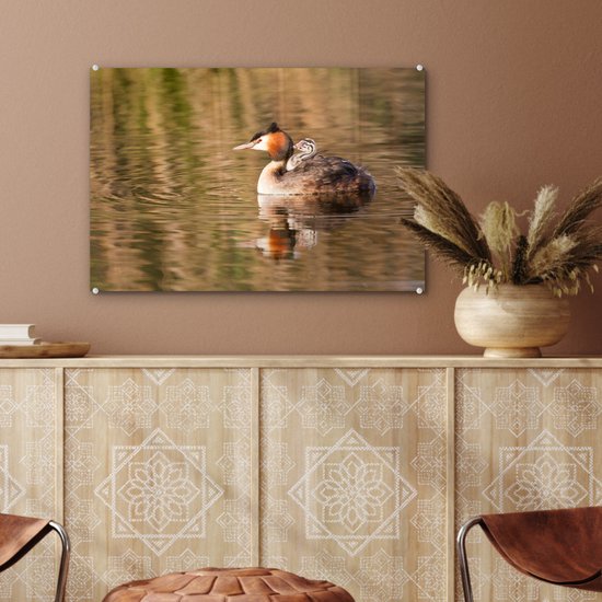 Peinture sur verre - Grèbe nage dans l'eau avec ses petits - 60x40 cm - Peintures sur Verre Peintures - Photo sur Glas