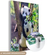 MuchoWow® Glasschilderij 30x40 cm - Schilderij acrylglas - Panda's - Boom - Natuur - Foto op glas - Schilderijen