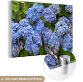 MuchoWow® Glasschilderij 30x20 cm - Schilderij acrylglas - Bos bloemen van hortensia - Foto op glas - Schilderijen