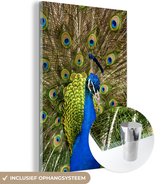 Peinture sur Verre - Paon - Ressorts - Bec - 100x150 cm - Peintures sur Verre Peintures - Photo sur Glas