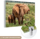 Peinture sur verre - Mère éléphant avec son bébé dans l'herbe - 30x20 cm - Peintures sur Verre Peintures - Photo sur Glas