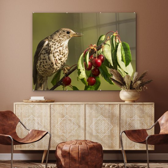 MuchoWow® Peinture sur verre - Vogel sur une branche - 120x90 cm - Peintures sur verre acrylique - Photo sur Glas