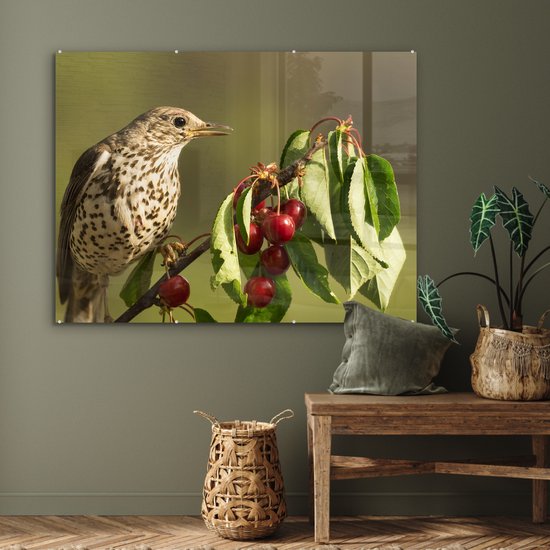 MuchoWow® Peinture sur verre - Vogel sur une branche - 120x90 cm - Peintures sur verre acrylique - Photo sur Glas