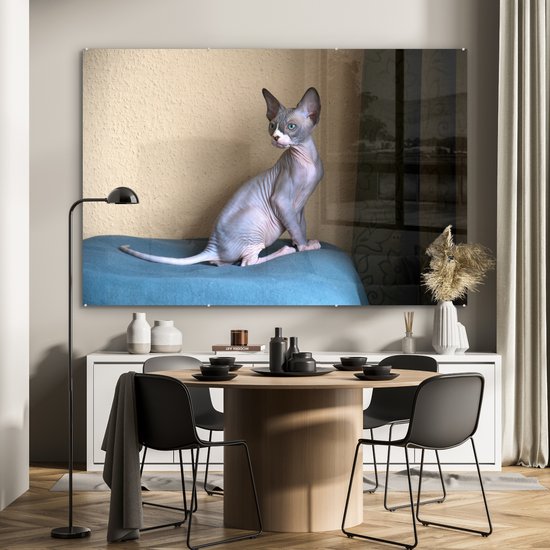 ® Glasschilderij 150x100 cm - Schilderij acrylglas - Een zittende Sphynx kitten - Foto op glas - Muurdecoratie woonkamer - Wanddecoratie slaapkamer - Schilderijen