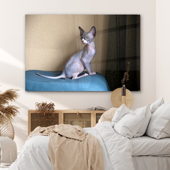 ® Glasschilderij 150x100 cm - Schilderij acrylglas - Een zittende Sphynx kitten - Foto op glas - Muurdecoratie woonkamer - Wanddecoratie slaapkamer - Schilderijen