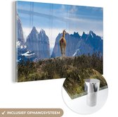MuchoWow® Glasschilderij 180x120 cm - Schilderij acrylglas - Een hert met een mooi uitzicht over Meer Pehoe in het nationaal park Torres del Paine - Foto op glas - Schilderijen