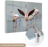 MuchoWow® Glasschilderij 150x100 cm - Schilderij acrylglas - Een flamingo die zich uitstrekt - Foto op glas - Schilderijen