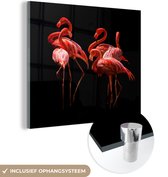 MuchoWow® Glasschilderij 20x20 cm - Schilderij acrylglas - Flamingo - Roze - Zwart - Foto op glas - Schilderijen