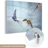 MuchoWow® Glasschilderij 60x40 cm - Schilderij acrylglas - Zwaluw - Water - Blauw - Foto op glas - Schilderijen