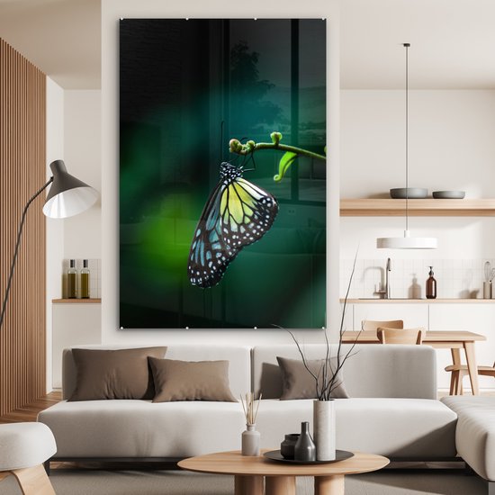 MuchoWow® Peinture sur verre 120x180 cm - Peinture acrylique sur verre - Papillon sur une branche fine - Photo sur verre - Peintures