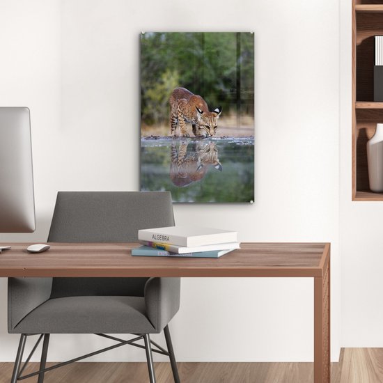 Peinture sur Verre - Lynx - Animal - Water - Buvant - 40x60 cm - Peintures sur Verre Peintures - Photo sur Glas