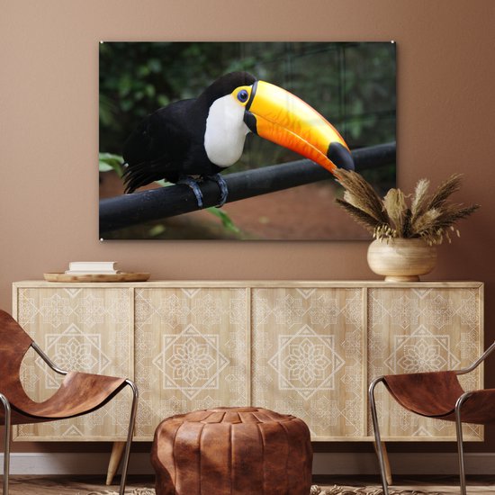 MuchoWow® Peinture sur verre 120x80 cm - Peinture sur verre acrylique - Toucan sur une branche noire au Brésil - Photo sur verre - Peintures