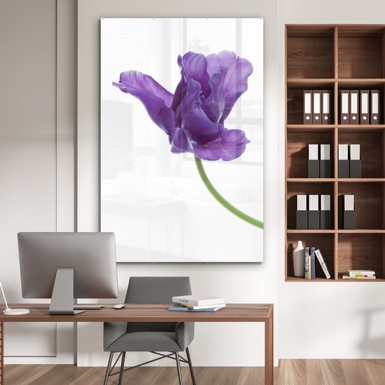 MuchoWow® Peinture sur verre 100x150 cm - Peinture sur verre acrylique - tulp violette sur fond blanc - Photo sur verre - Peintures