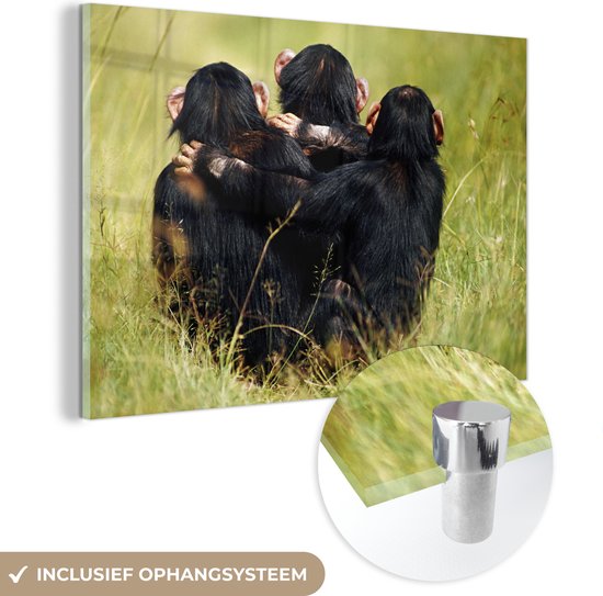 MuchoWow® Glasschilderij 120x80 cm - Schilderij acrylglas - Aap - Gras - Dieren - Foto op glas - Schilderijen