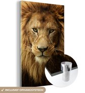 MuchoWow® Glasschilderij 120x180 cm - Schilderij acrylglas - Portretfoto Afrikaanse leeuw - Foto op glas - Schilderijen