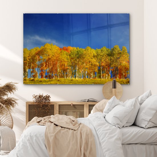 MuchoWow® Peinture sur verre 180x120 cm - Peinture sur verre - Peupliers colorés en automne - Photo sur verre acrylique - Peintures