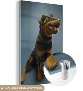 MuchoWow® Glasschilderij 80x120 cm - Schilderij acrylglas - Studio foto van een Rottweiler op een blauwe achtergrond - Foto op glas - Schilderijen