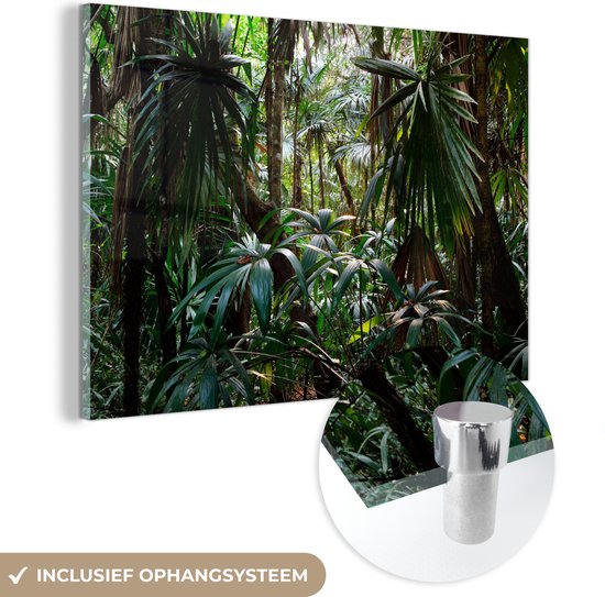 MuchoWow® Glasschilderij 150x100 cm - Schilderij acrylglas - Planten in regenwoud - Foto op glas - Schilderijen