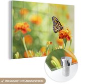 MuchoWow® Glasschilderij 150x100 cm - Schilderij acrylglas - Monarchvlinder op bloem - Foto op glas - Schilderijen