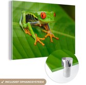 MuchoWow® Glasschilderij 150x100 cm - Schilderij acrylglas - Kikker - Blad - Reptiel - Foto op glas - Schilderijen